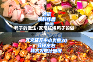 鸭子的做法/家常红烧鸭子的做法