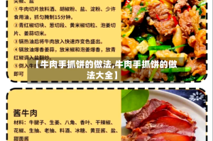 【牛肉手抓饼的做法,牛肉手抓饼的做法大全】