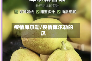 疫情库尔勒/疫情库尔勒的瓜