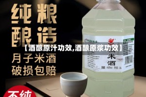 【酒酿原汁功效,酒酿原浆功效】
