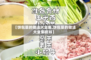 【饼包菜的做法大全集,饼包菜的做法大全集视频】