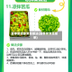 夏季菜谱家常菜做法(夏季家常菜菜单)