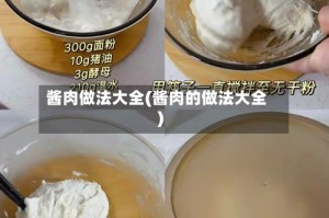 酱肉做法大全(酱肉的做法大全)