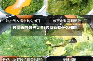 炒茴香的做法大全(炒茴香有什么作用)