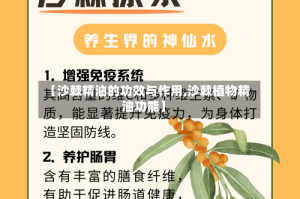 【沙棘精油的功效与作用,沙棘植物精油功能】