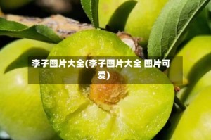 李子图片大全(李子图片大全 图片可爱)