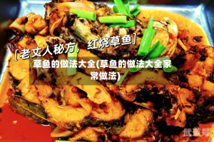 草鱼的做法大全(草鱼的做法大全家常做法)