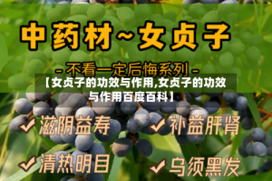 【女贞子的功效与作用,女贞子的功效与作用百度百科】