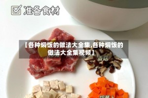 【各种焖饭的做法大全集,各种焖饭的做法大全集视频】