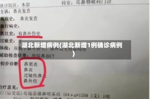 湖北新增病例(湖北新增1例确诊病例)