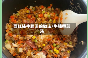 西红柿牛腩汤的做法/牛腩番茄汤