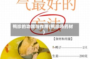鸭珍的功效与作用(鸭珍汤药材)
