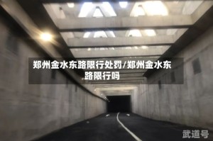 郑州金水东路限行处罚/郑州金水东路限行吗