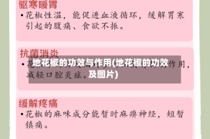 地花椒的功效与作用(地花椒的功效及图片)