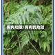 狗肉功效/狗肉的功效