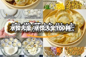 水饺大全/水饺大全100种