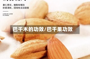 巴干木的功效/巴干果功效