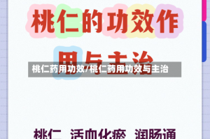 桃仁药用功效/桃仁药用功效与主治