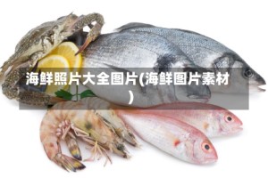 海鲜照片大全图片(海鲜图片素材)