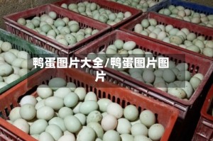 鸭蛋图片大全/鸭蛋图片图片