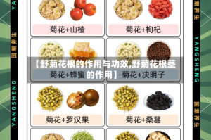 【野菊花根的作用与功效,野菊花根茎的作用】