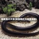 鳗鱼图片大全(鳗鱼图片大全高清图)