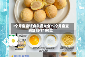 9个月宝宝辅食食谱大全/9个月宝宝辅食制作100款