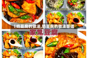 【奶豆腐的做法,奶豆腐的做法菜谱】