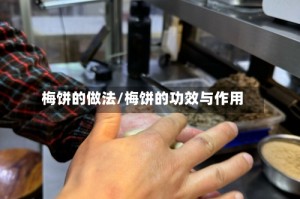 梅饼的做法/梅饼的功效与作用