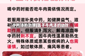 牛肉汤的功效(莲子牛肉汤的功效)