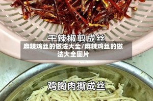 麻辣鸡丝的做法大全/麻辣鸡丝的做法大全图片