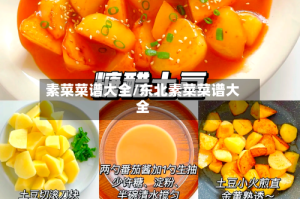 素菜菜谱大全/东北素菜菜谱大全