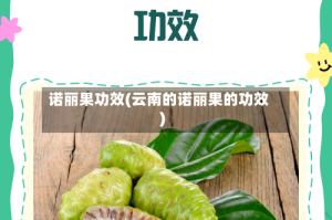 诺丽果功效(云南的诺丽果的功效)