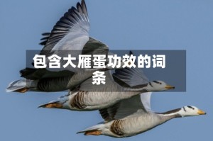 包含大雁蛋功效的词条