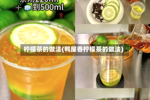 柠檬茶的做法(鸭屎香柠檬茶的做法)