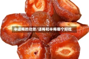 半话梅的功效/话梅和半梅哪个好吃
