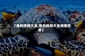 【鱼的视频大全,鱼的视频大全海底世界】