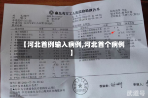 【河北首例输入病例,河北首个病例】