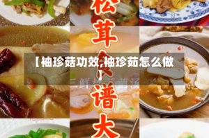 【袖珍菇功效,袖珍茹怎么做】