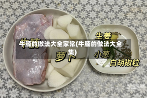 牛腩的做法大全家常(牛腩的做法大全集)