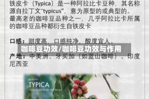 咖啡豆功效/咖啡豆功效与作用