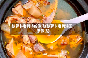 酸萝卜老鸭汤的做法(酸萝卜老鸭汤正宗做法)