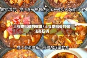 土豆烧排骨的做法/土豆烧排骨的做法高压锅