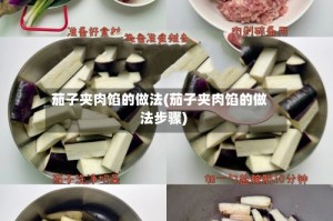 茄子夹肉馅的做法(茄子夹肉馅的做法步骤)