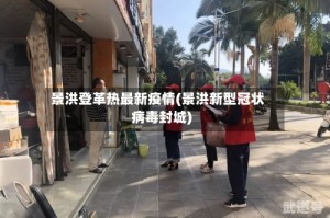 景洪登革热最新疫情(景洪新型冠状病毒封城)