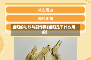 当归的功效与副作用(当归是干什么用的)