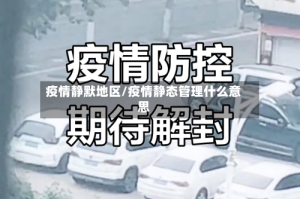 疫情静默地区/疫情静态管理什么意思