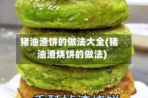 猪油渣饼的做法大全(猪油渣烧饼的做法)