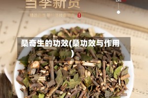 桑奇生的功效(桑功效与作用)