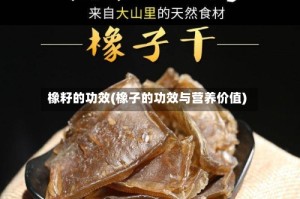 橡籽的功效(橡子的功效与营养价值)